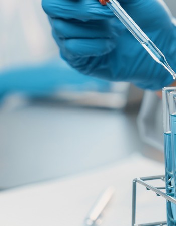 المشاريع البحثية